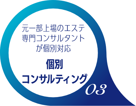 個別コンサルティング